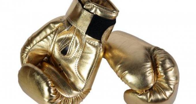 the novak agency gold boxing gloves